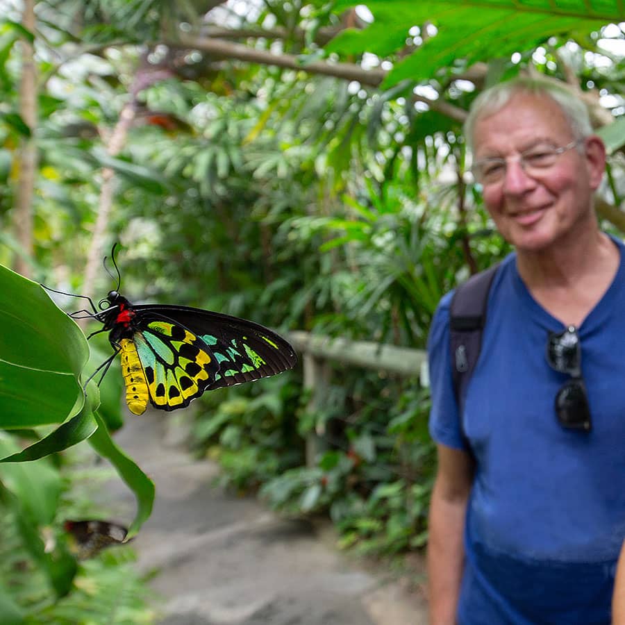 Australian Butterfly Sanctuary Kuranda Rainforest Village Open Daily