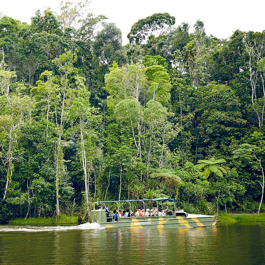 Rainforestation Nature Park At Kuranda Village in the Rainforest