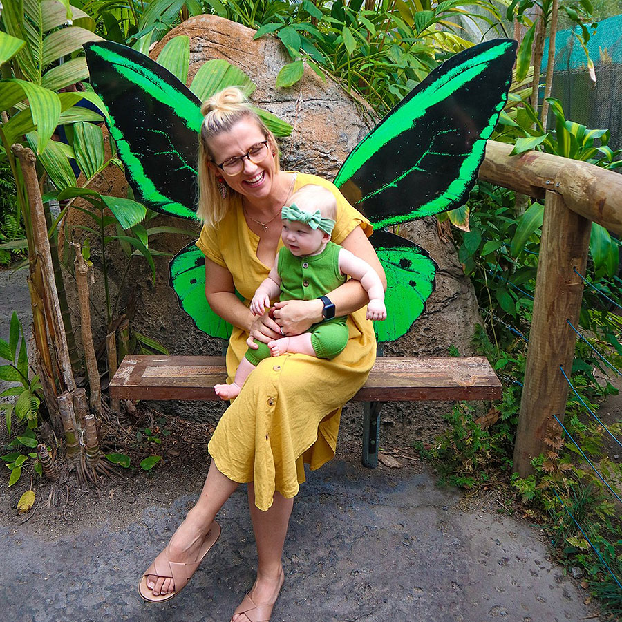 Australian Butterfly Sanctuary Kuranda Rainforest Village Open Daily