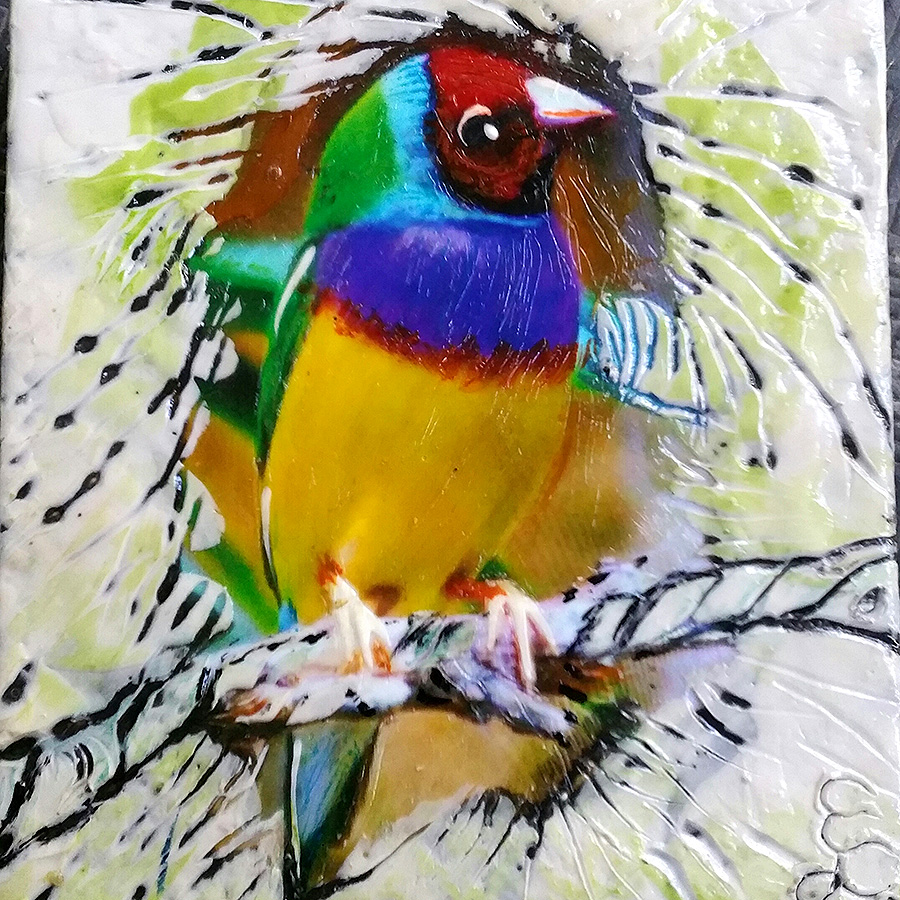 Kuranda Arts Cooperative Kuranda Village in the Rainforest Open Daily