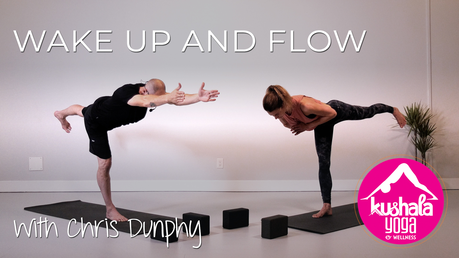 Wake Up and Flow Kushala Yoga and Wellness in Port Moody