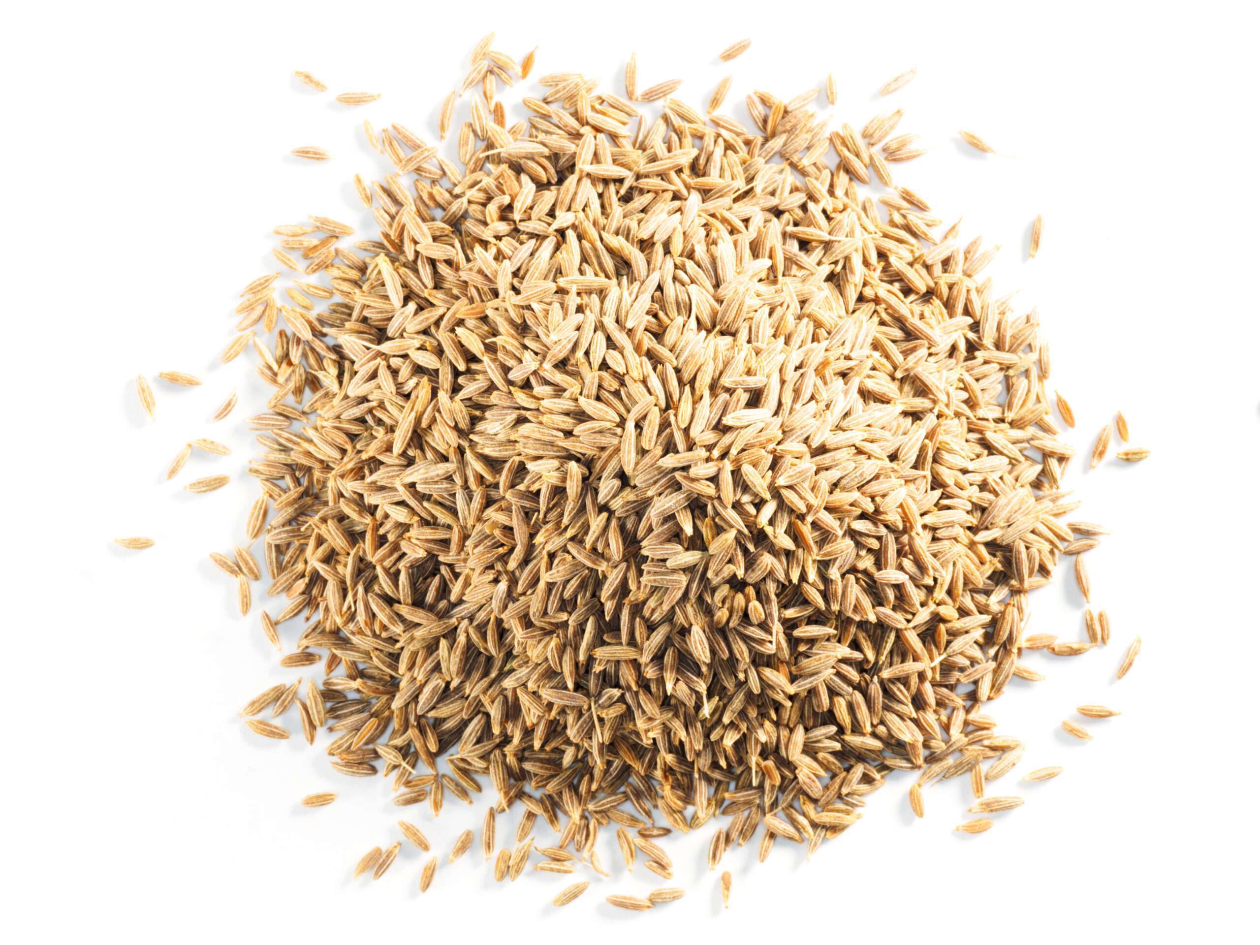 Kusha Cumin Seeds Kusha Spices