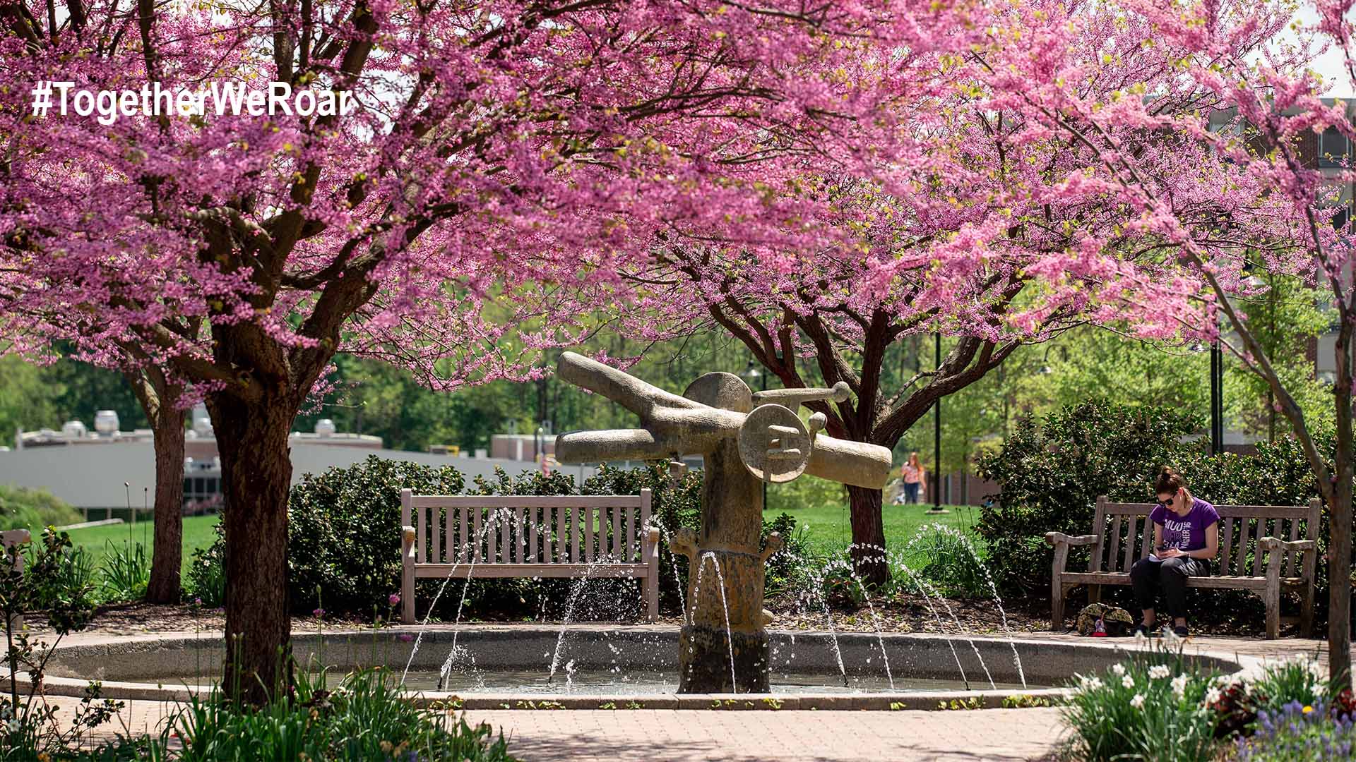 Photography and Digital Images News and Media Kutztown University