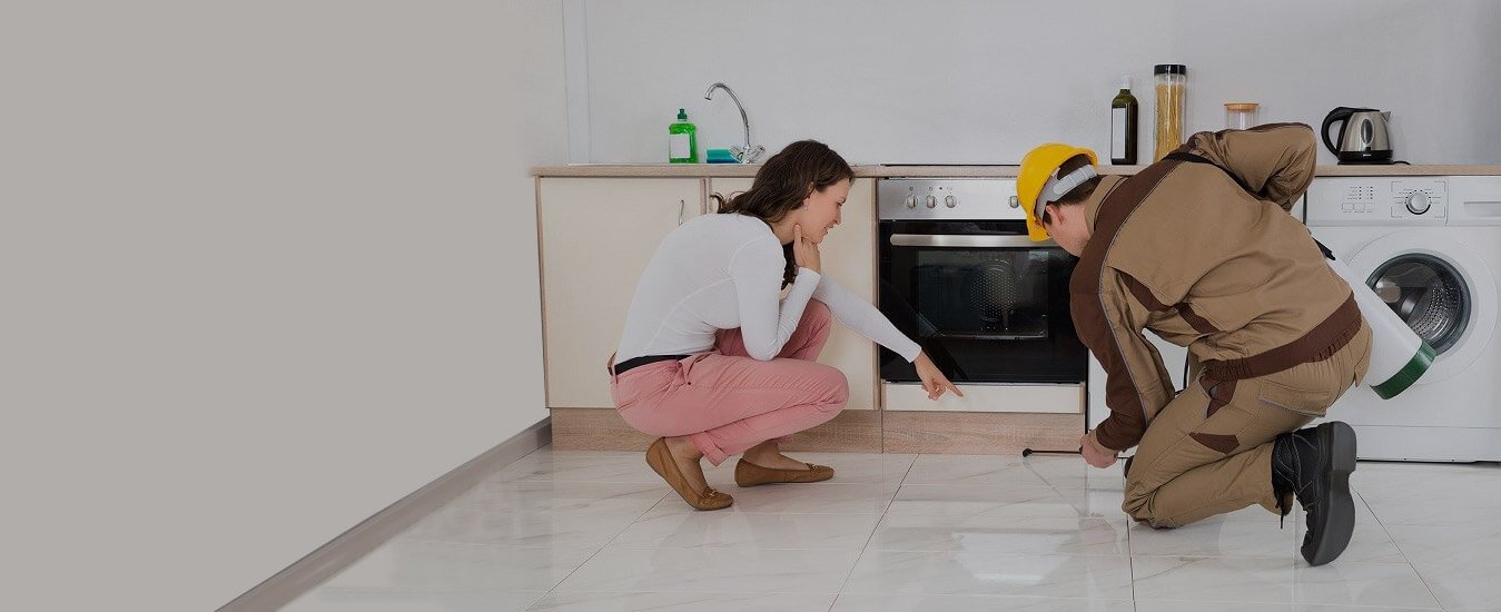 Pest Control & Extermination Services in Kitchener, Waterloo