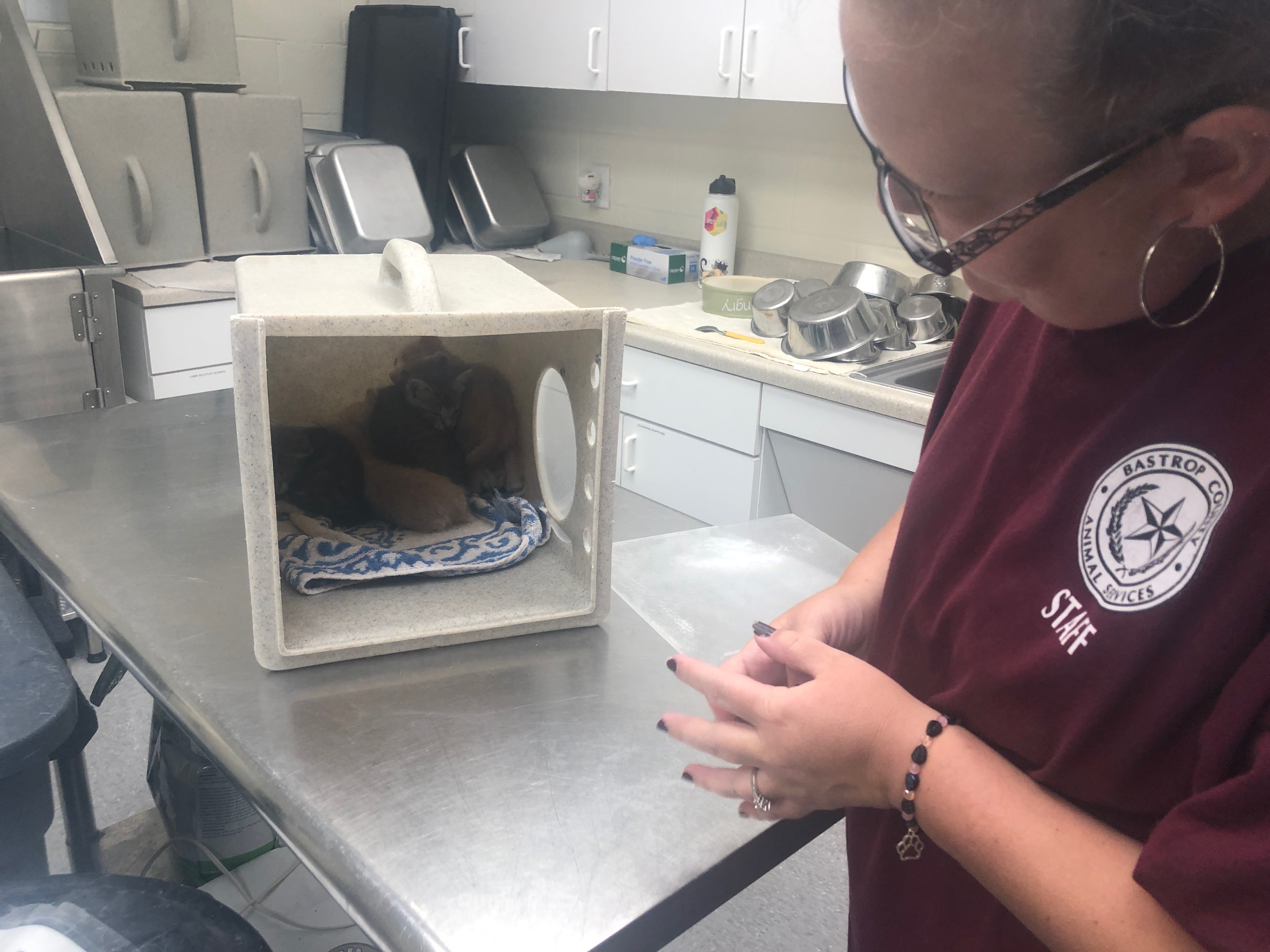 Bastrop County Animal Shelter / Adoption Discounts At Bastrop County Shelter To Avoid