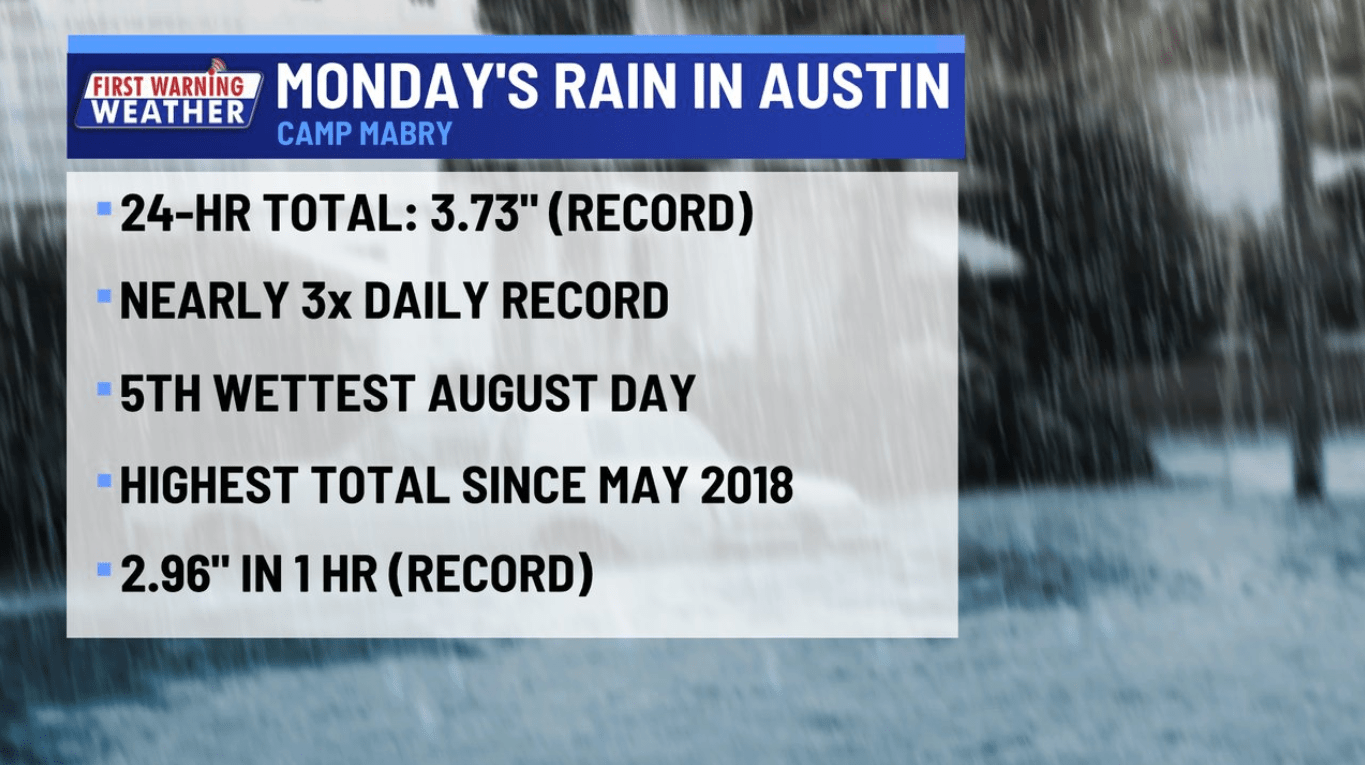 Mold count explodes after flooding rain; highest count in 5 months