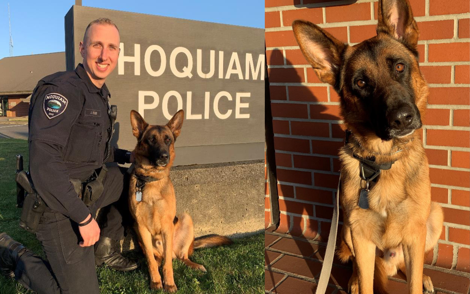 Hoquiam Police Department adds new officer KXRO News Radio