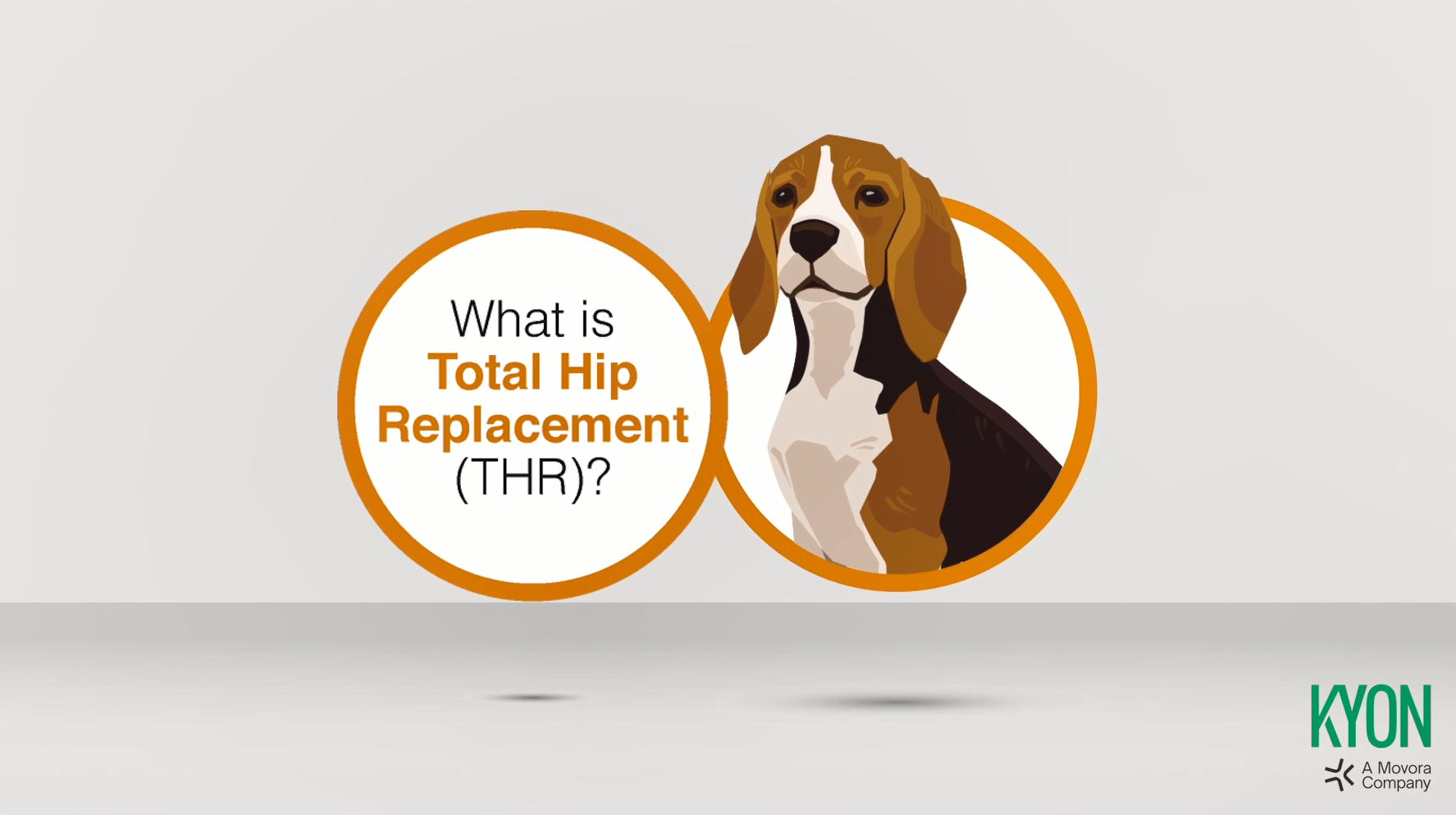 Veterinary THR Total Hip Replacement Implant KYON