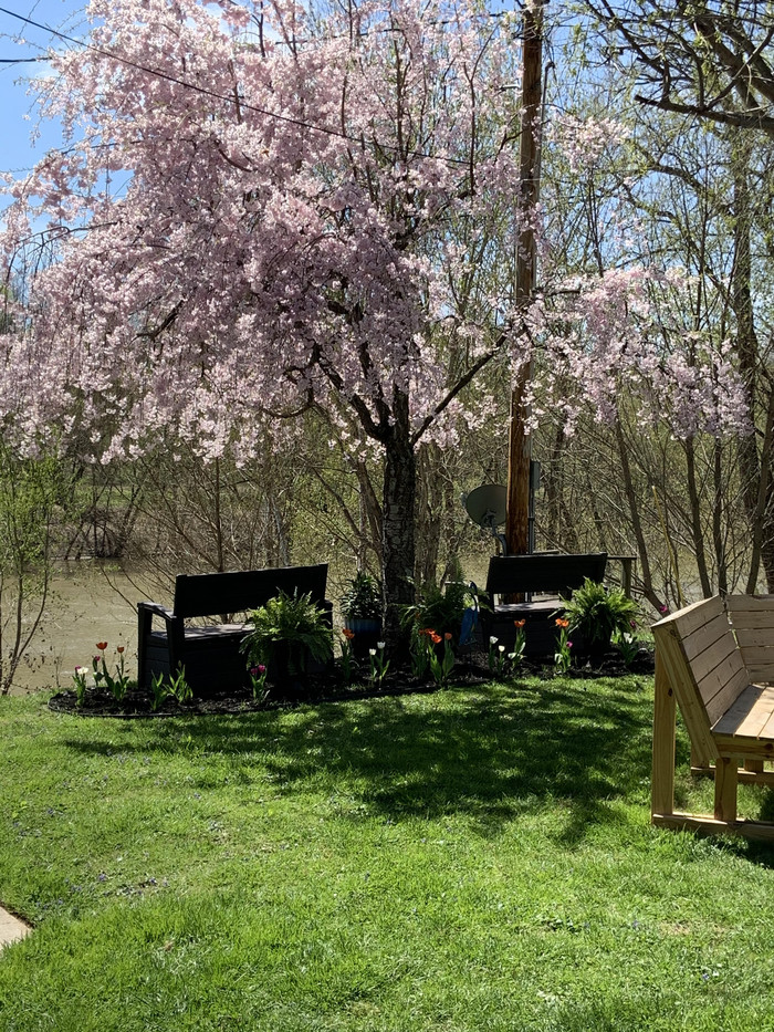 RV camping, Kentucky River Campground Home