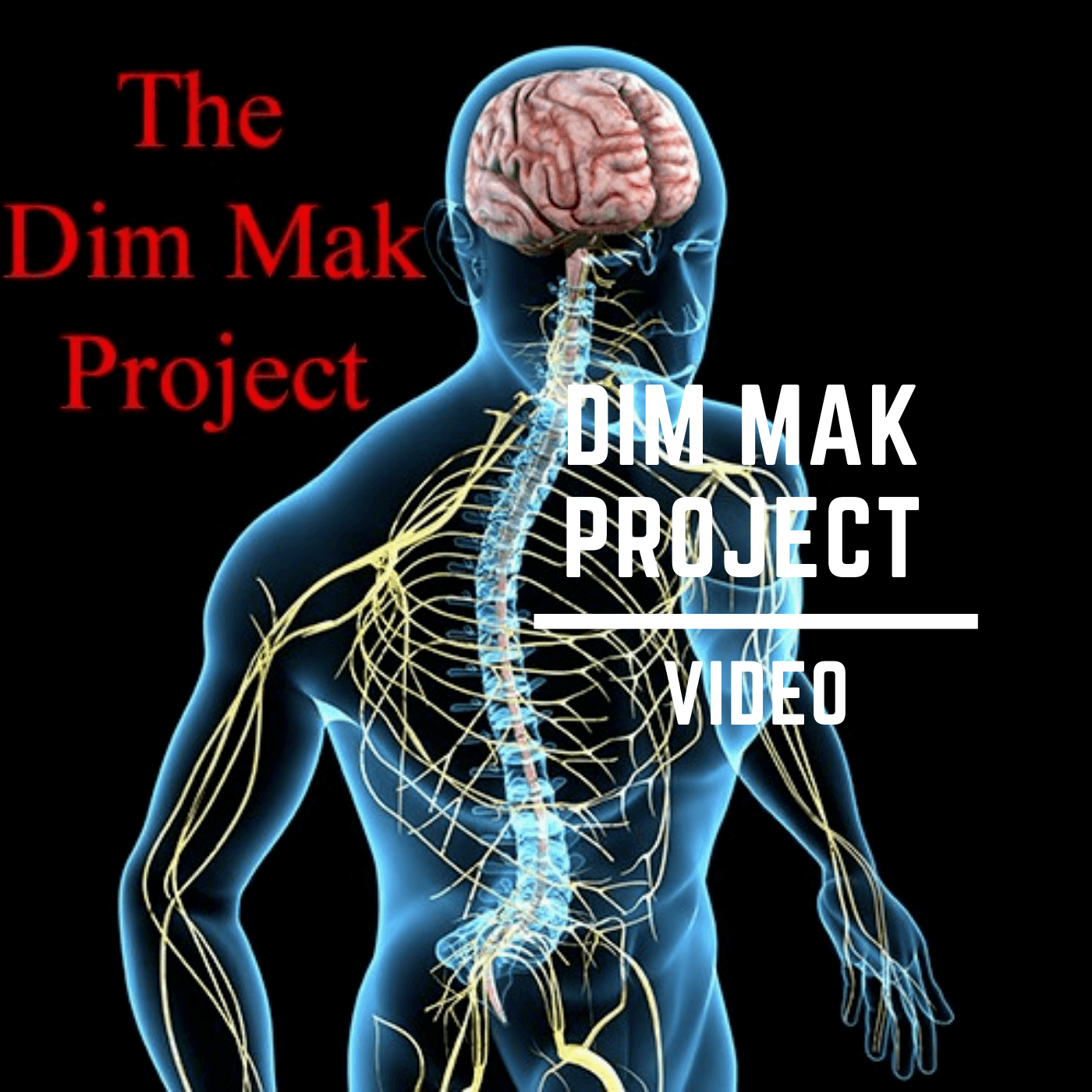 Dim Mak Project Video Course Stage 2 of the Dim Mak Project