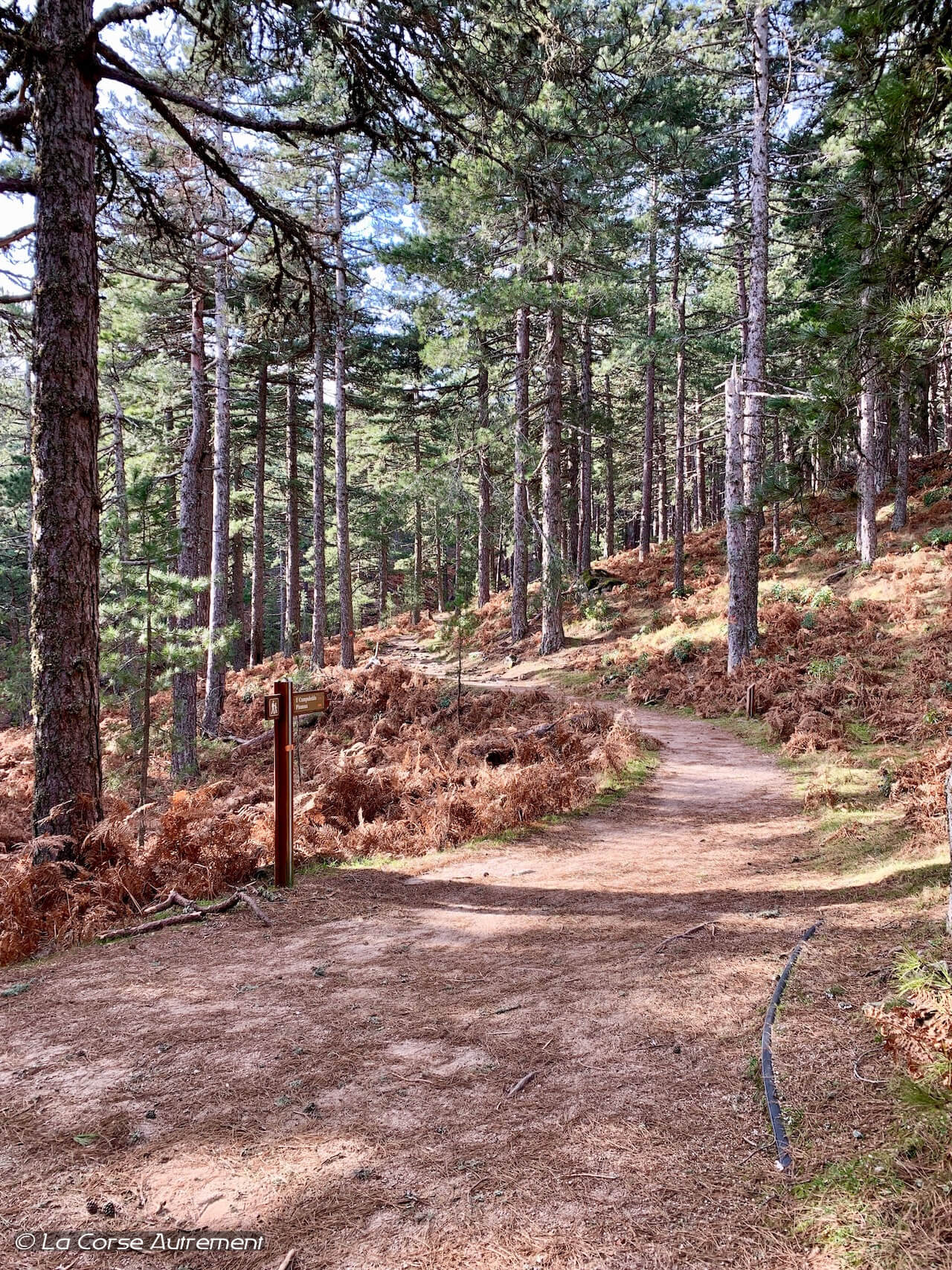 Tafonu di u Cumpuleddu "Le trou de la Bombe" Randonnée en Corse