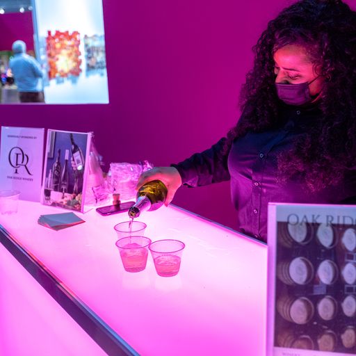 Vip Image Gallery 2022 LA Art Show