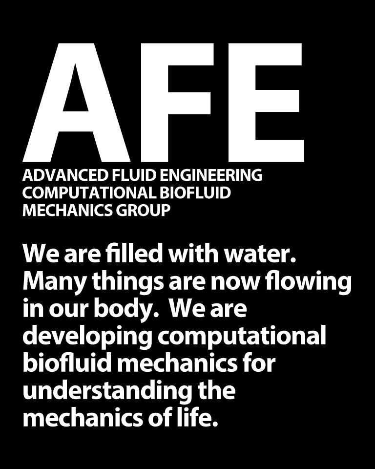ADVANCED FLUID ENGINEERING