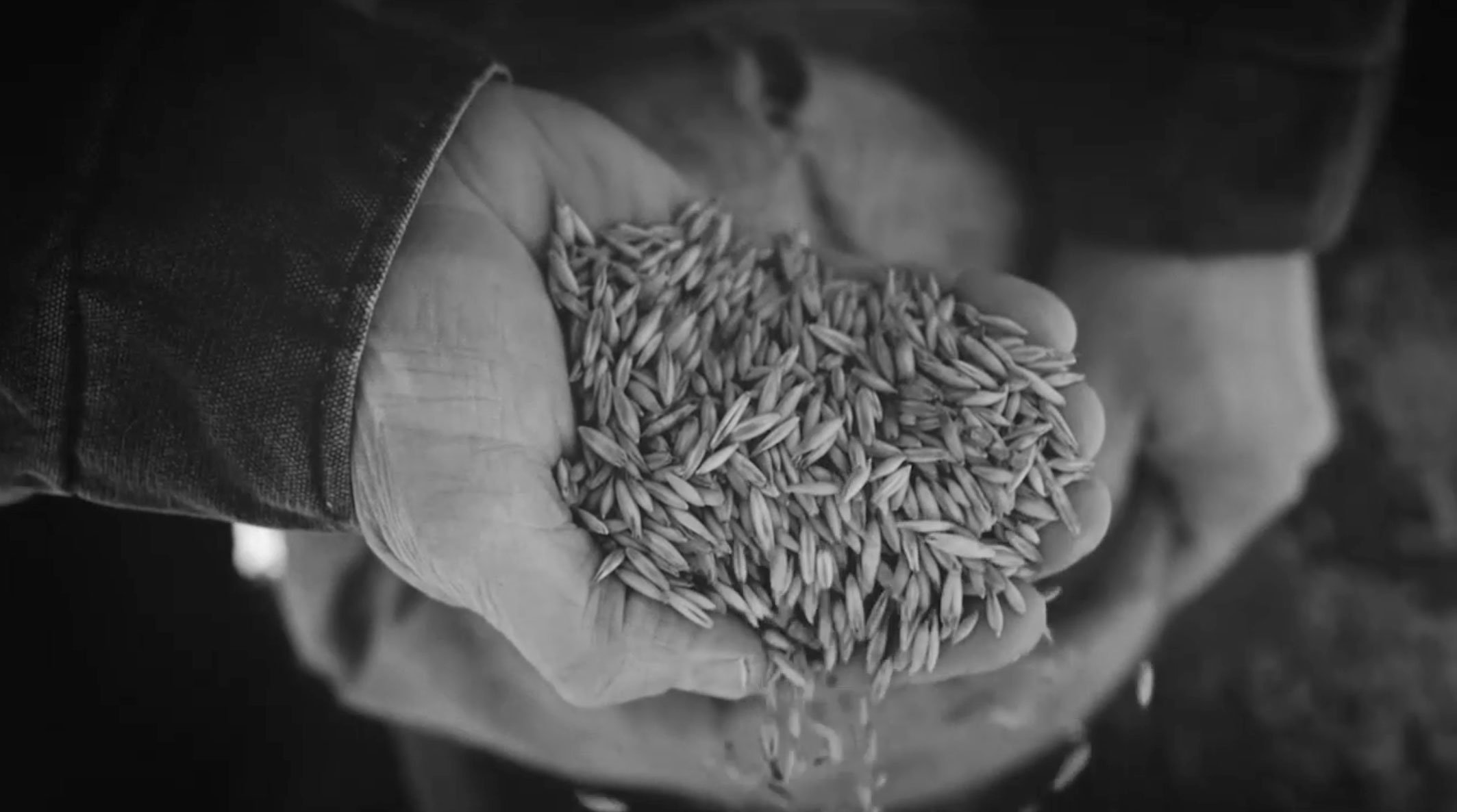 LaBarge Media Canandaigua, NY