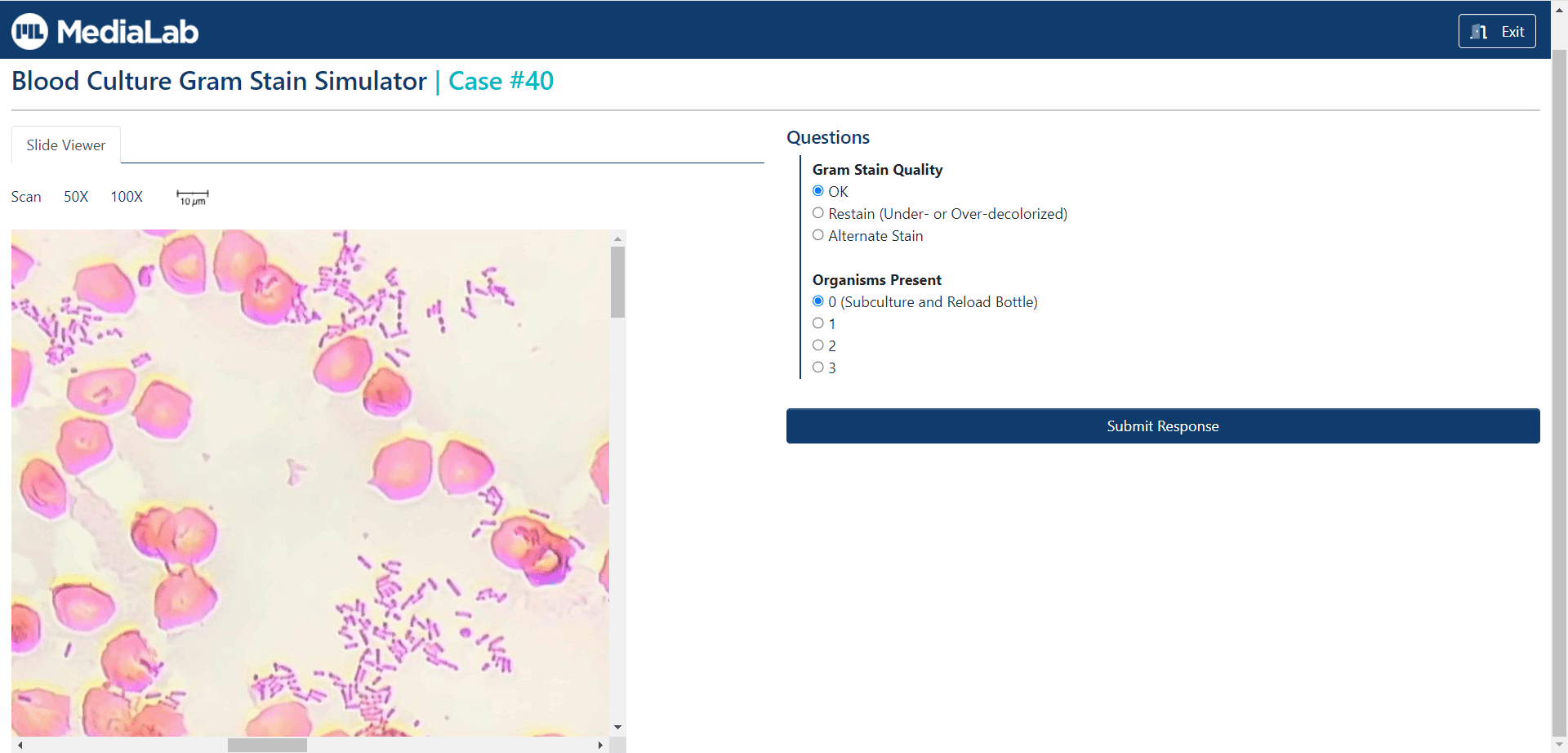 Blood Culture Gram Stain Case Simulator LabCE