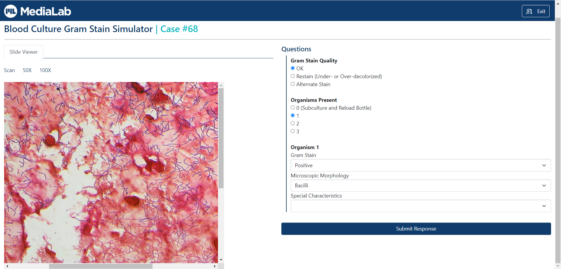 Blood Culture Gram Stain Case Simulator LabCE