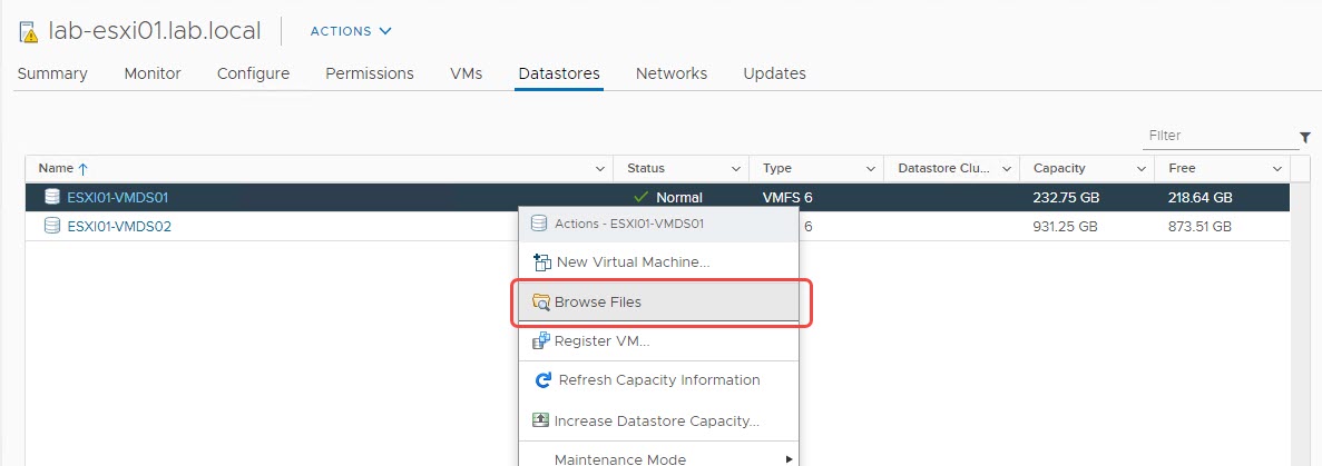 VMware Warning System logs are stored on nonpersistent storage