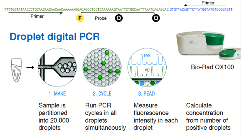 Droplet Digital PCR to Measure Tumor Load Labcritics