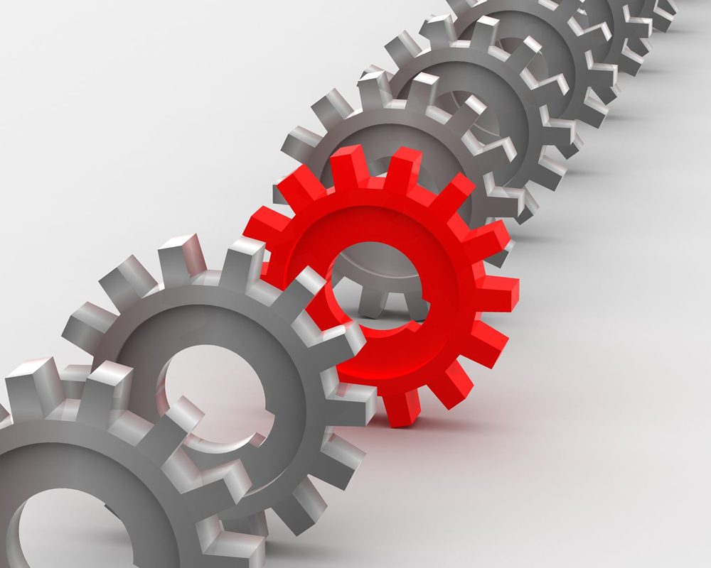 Services Label Innovation Inc Label Innovation Inc