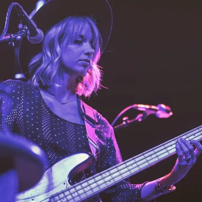 La Bella Supernil Upright Bass Strings at Mary Runner blog