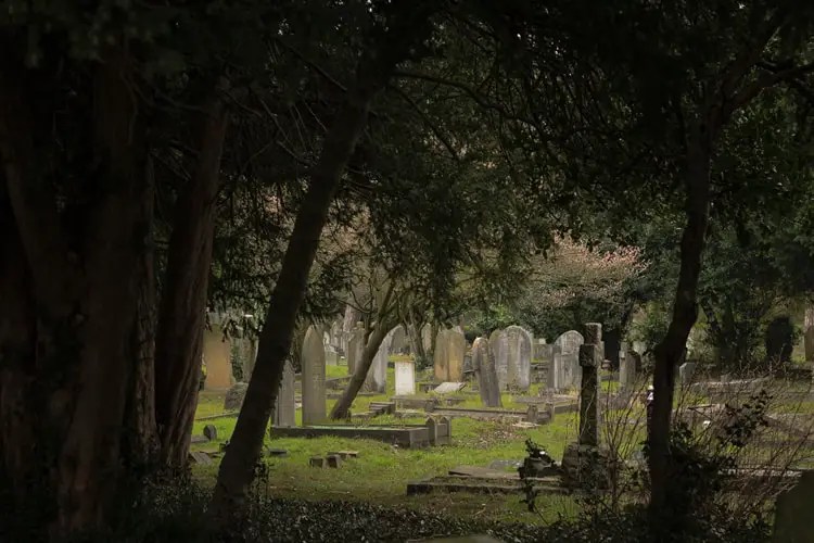 What Does The Horrified Dreams About Cemetery Really Mean?