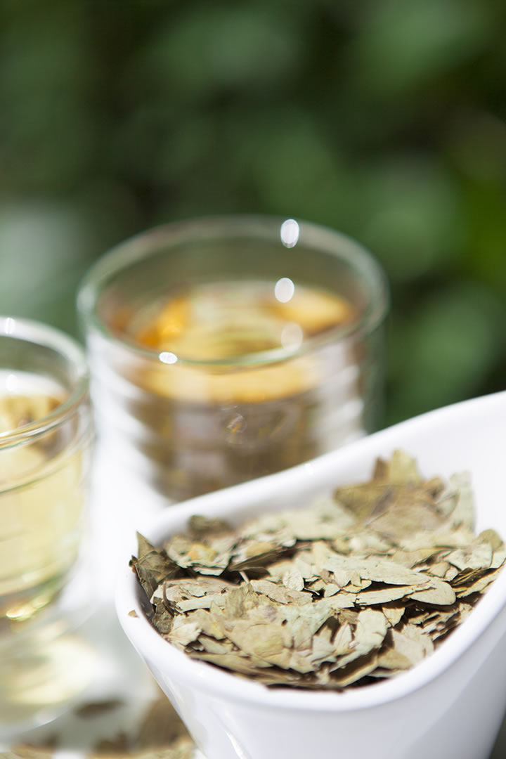 Hojas de sen Laboratorio Fine Chemicals