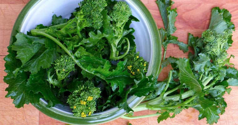 Friarielli (cime di rapa) La Biolca