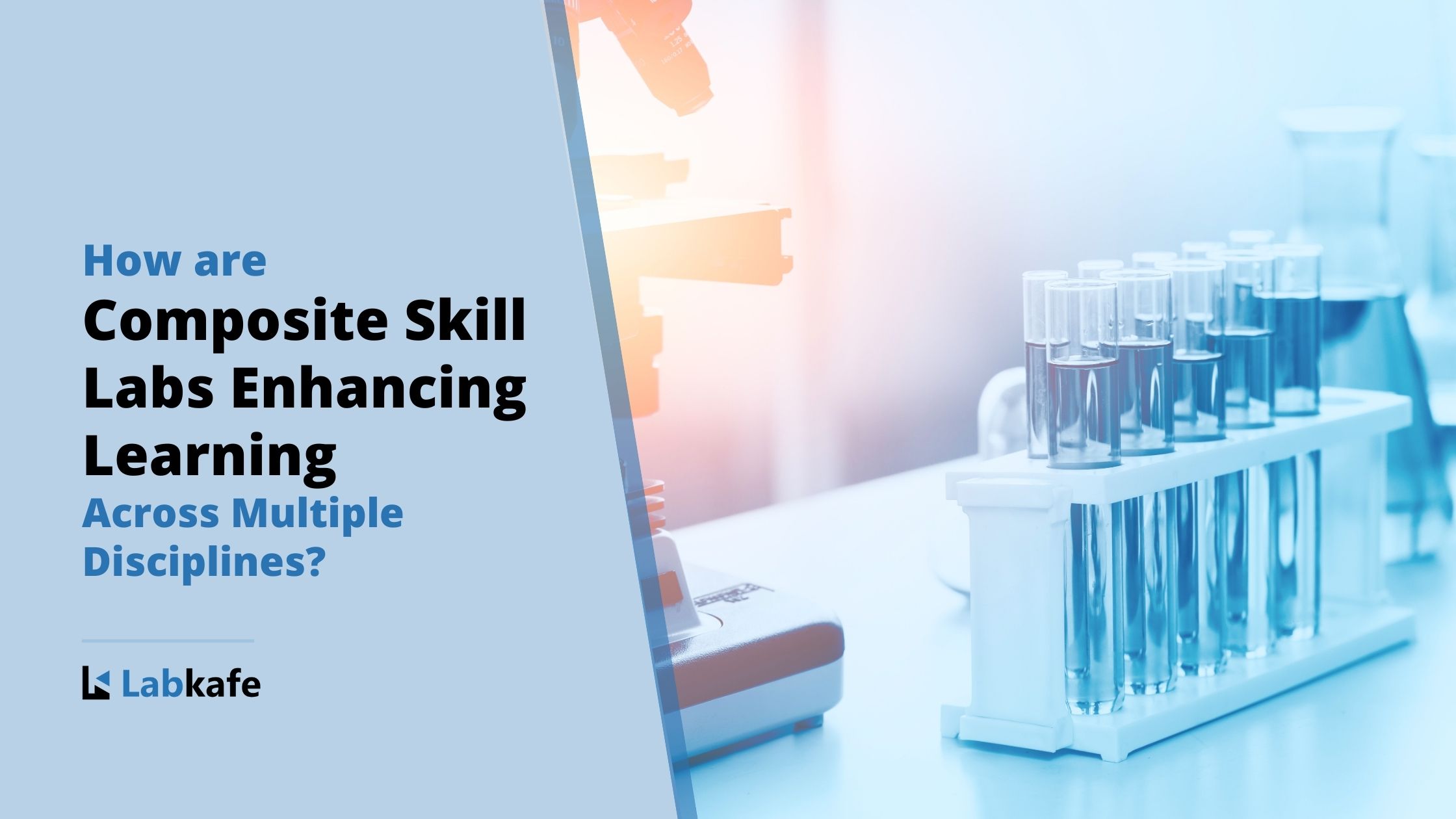 Skill Lab Enhancing Learning in Multiple Disciplines