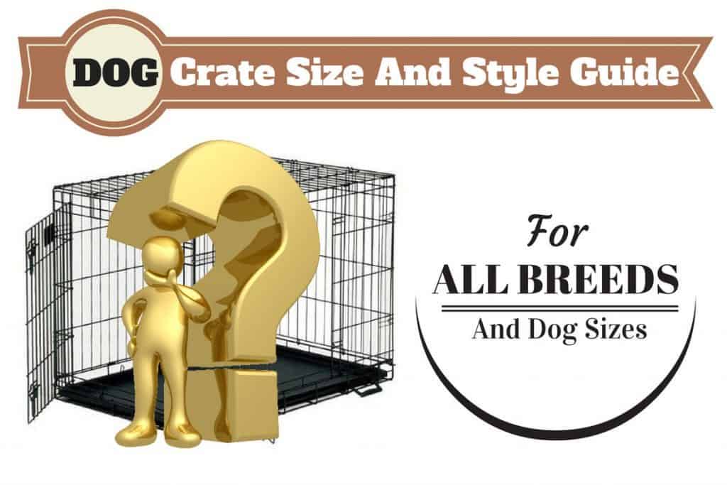 Best Dog Crates Type To Get Guide of Lab Cages 2020)