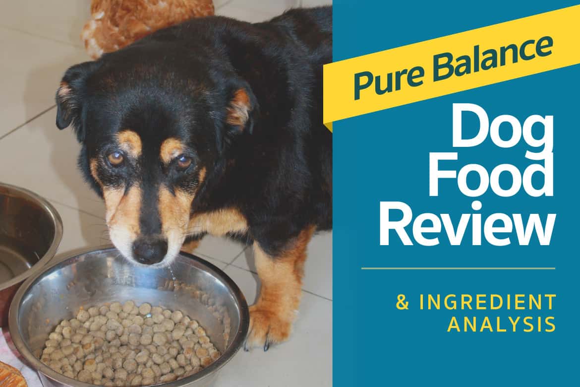 Pure Balance Dog Food Review & Ingredient Analysis