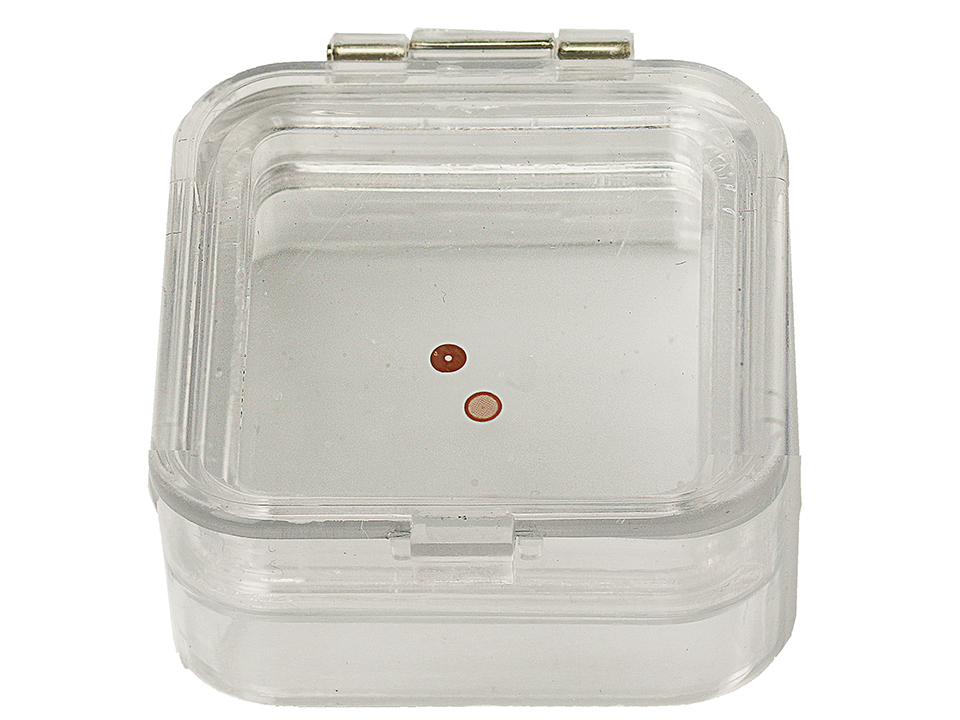 M22 clear plastic membrane box, hinged 50 x 50 x 25mm Labtech