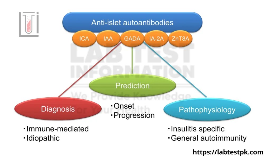 AntiIslet Cell Antibodies