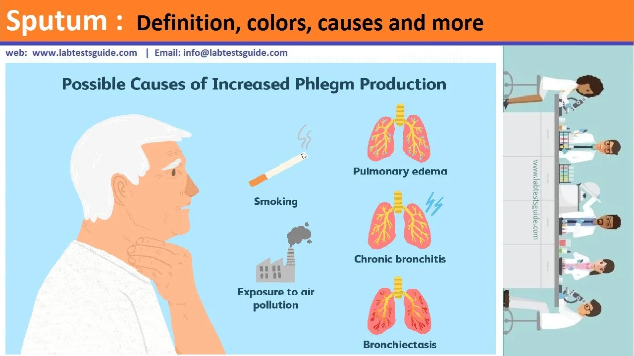 Sputum Definition, colors, causes and more Lab Tests Guide