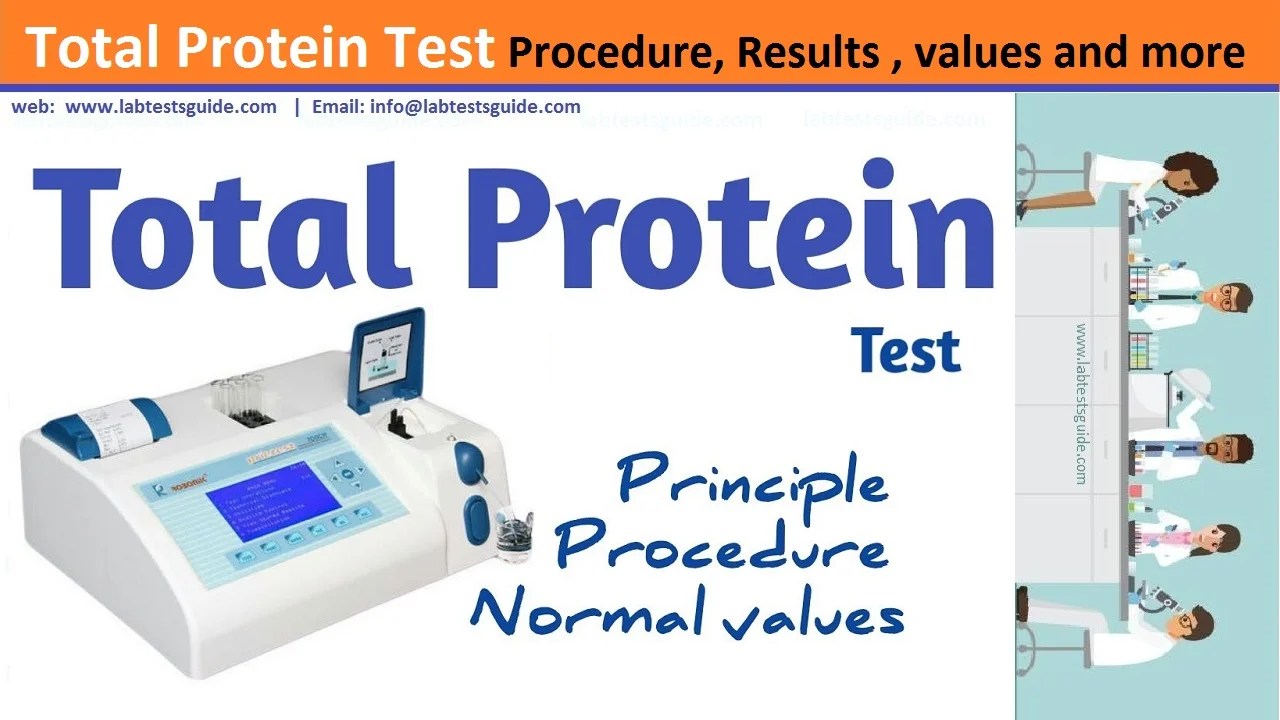 Total Protein Test Procedure Preparation, Reasults and more Lab Tests