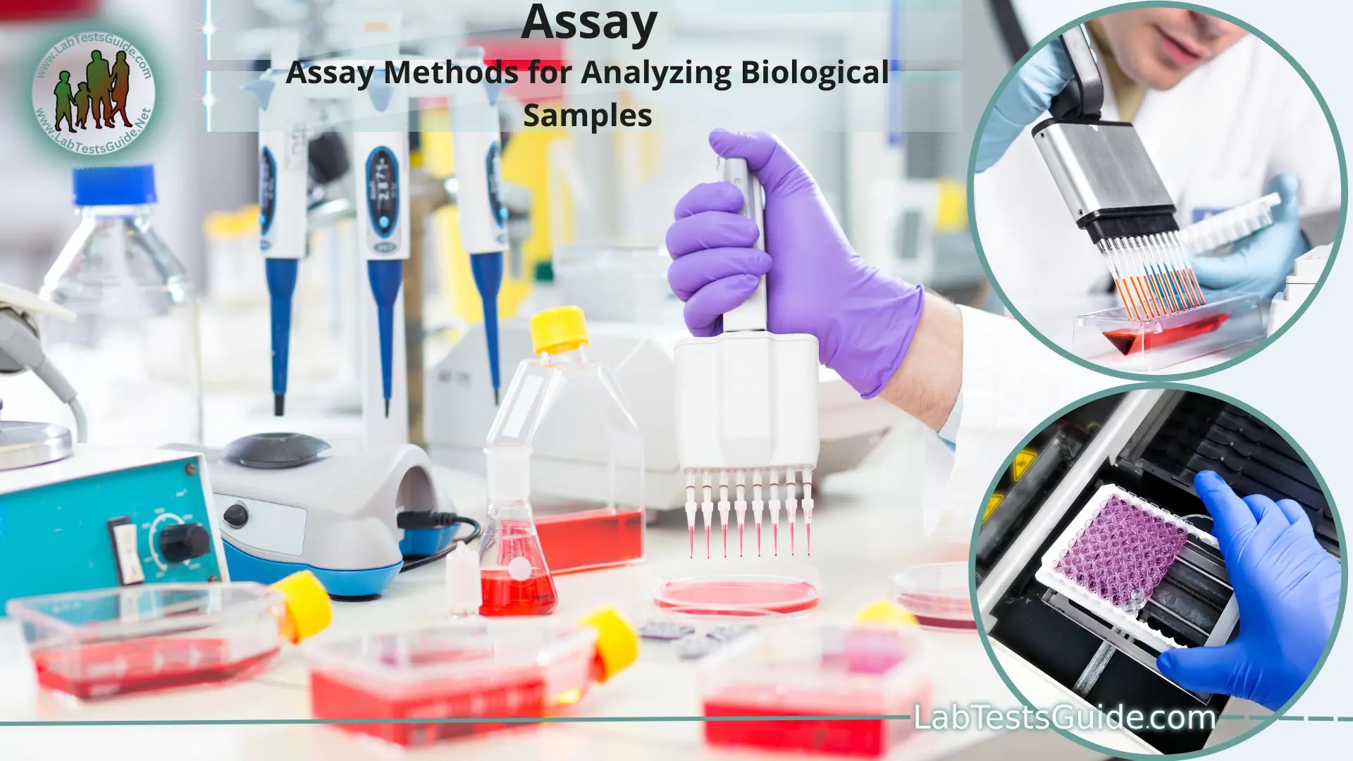 Assay Types, Techniques, Significance, Applications etc