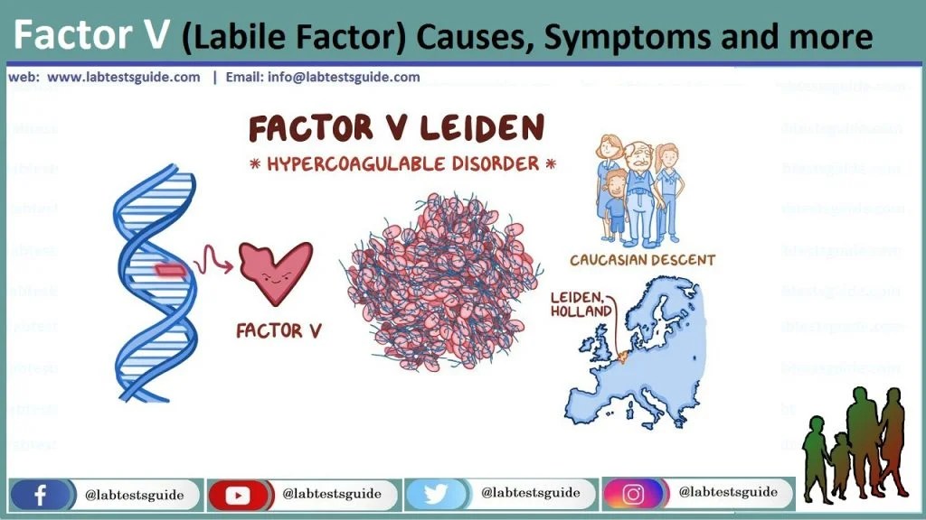 Factor V (Labile Factor) Causes, Symptoms and more Lab Tests Guide