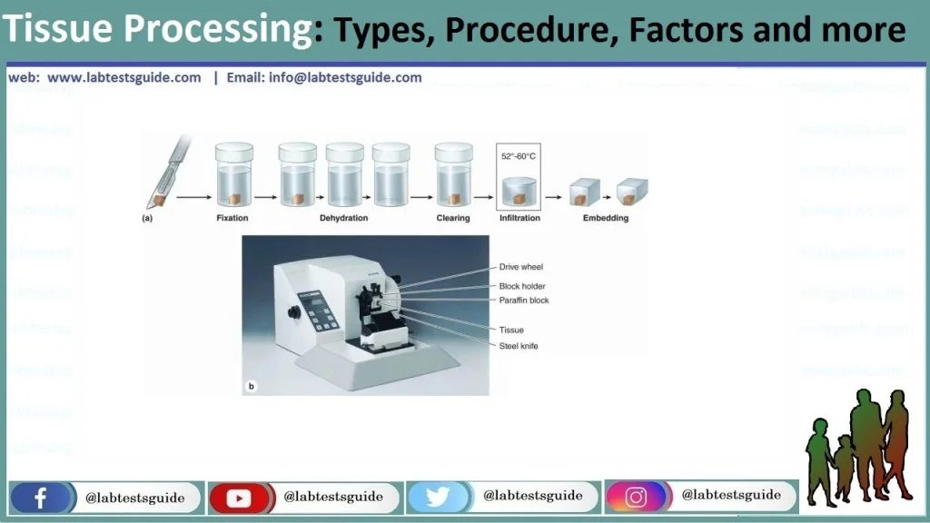 Tissue Processing Types, Procedure, Factors And More Lab Tests Guide