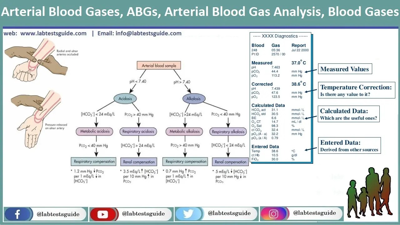 Arterial Blood Gases Test Purpose, Procedure, Result and more Lab