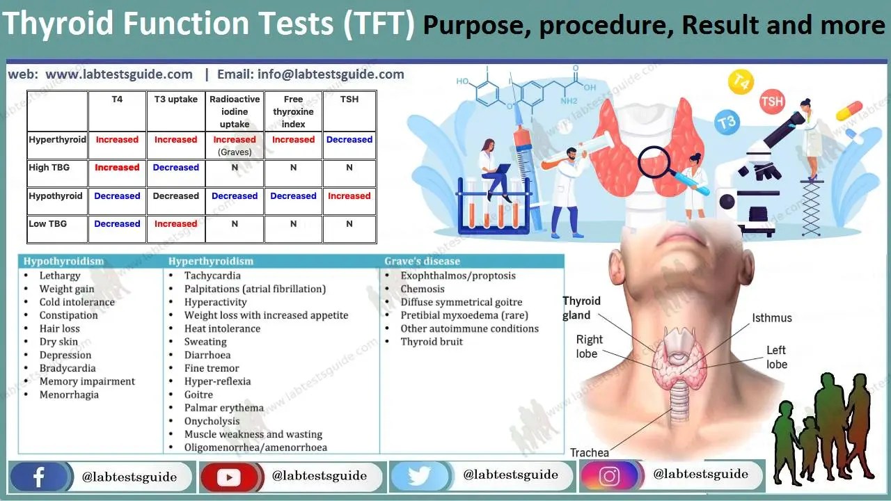 Thyroid Panel Tests Purpose, Procedure, Results and more