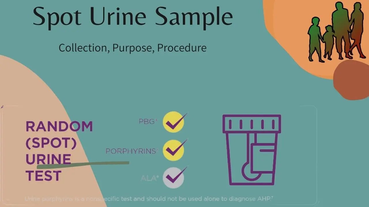 Spot Urine Sample Lab Tests Guide