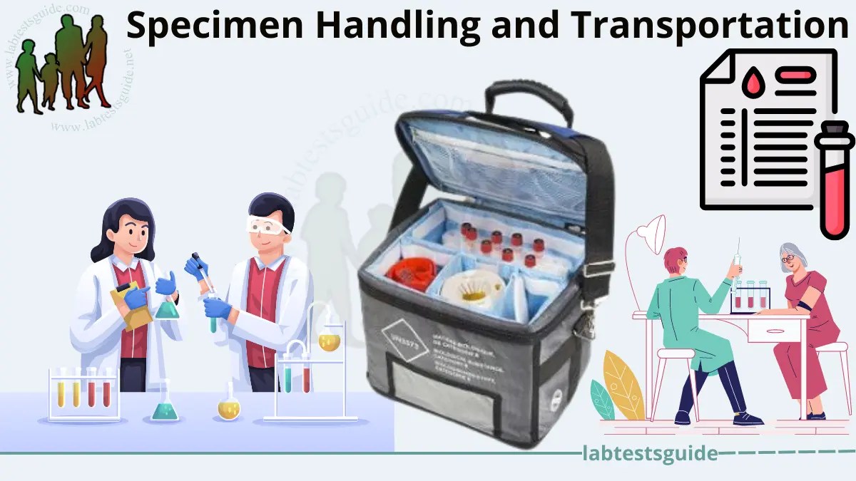 Specimen Handling and Transportation SOPs 10 Best Practices and