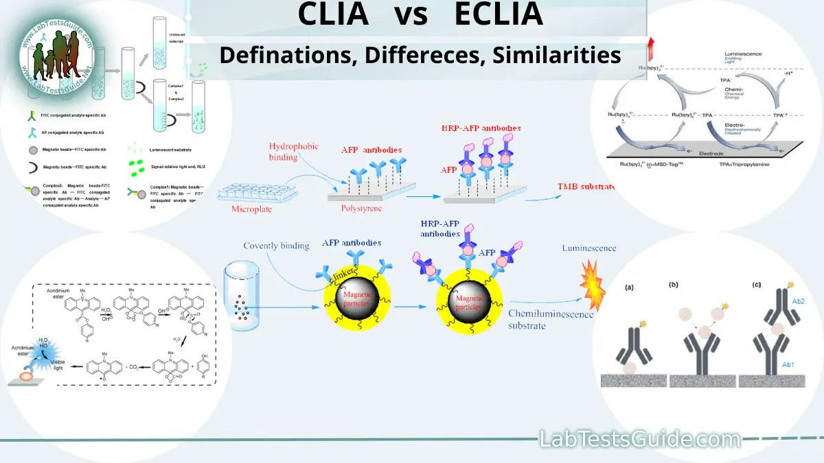 CLIA vs ECLIA Definations, Comparison , Differences, Similarities