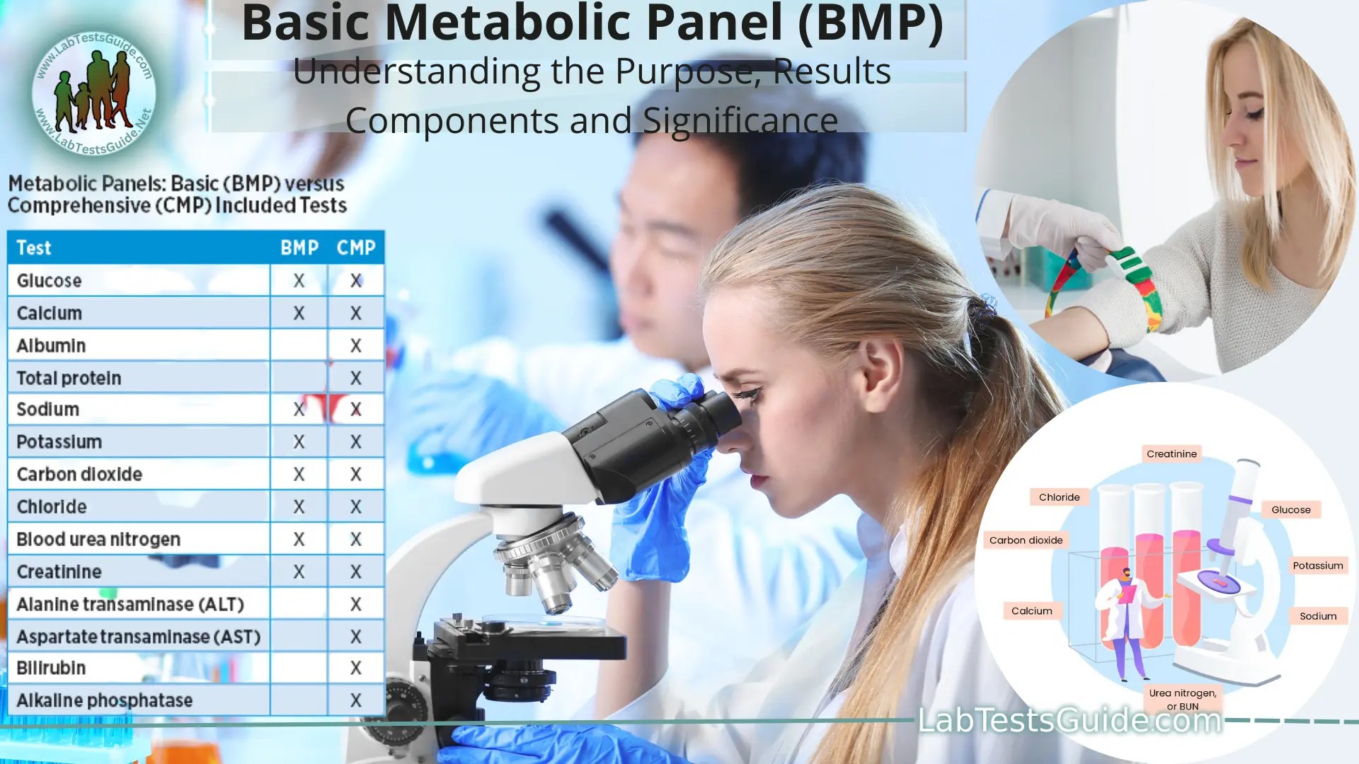 Understanding the Basic Metabolic Panel (BMP) Components and Significance