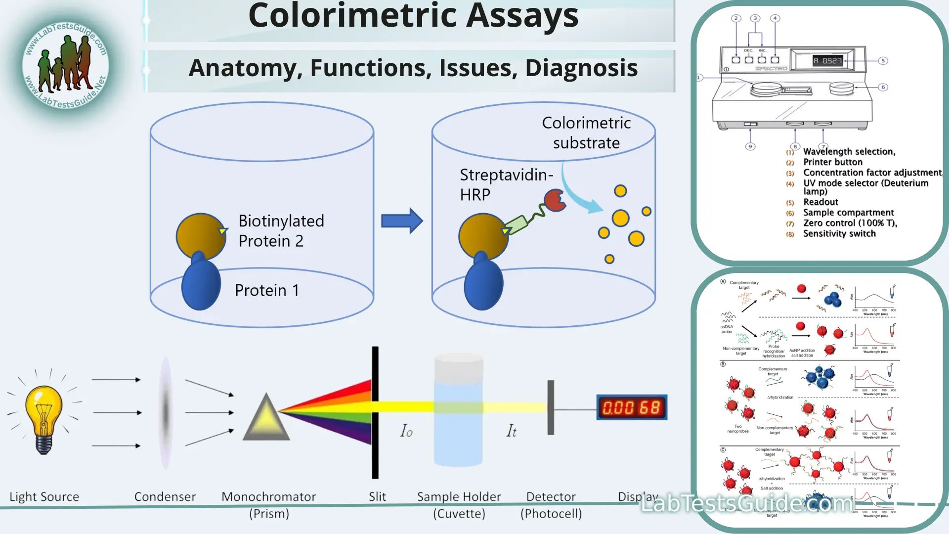 Colorimetric Assays Defination, Applications, Procedures, Types and more