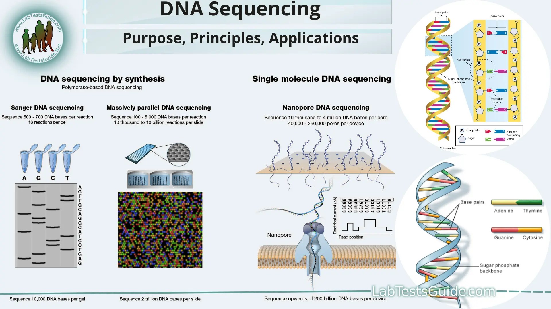 DNA Sequencing Technique Lab Tests Guide