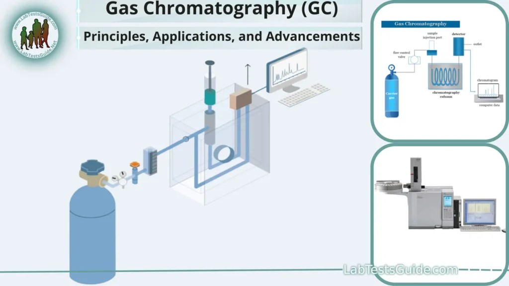 Gas Chromatography (GC) Principles, Applications, and Advancements