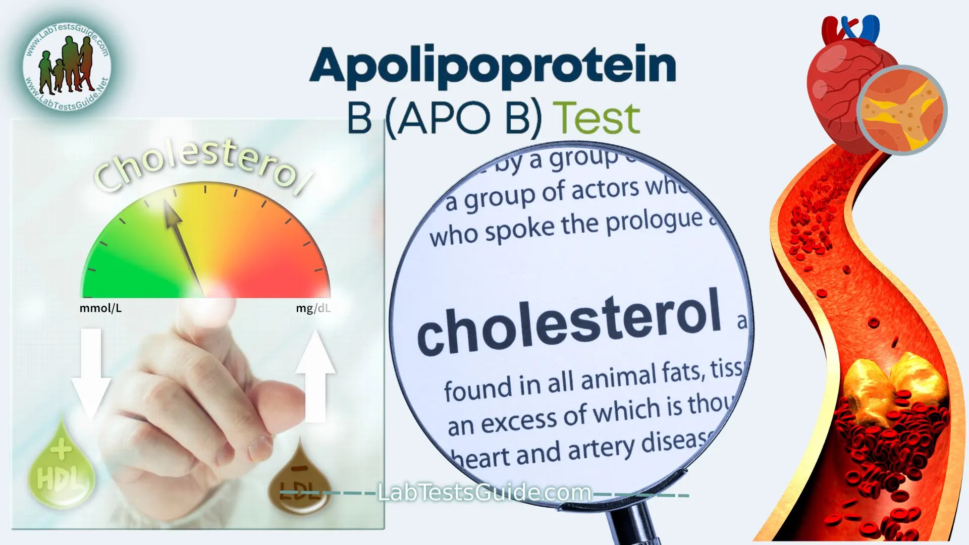 The Best Cholesterol Test You Didn't Know You Needed Lab Tests Guide