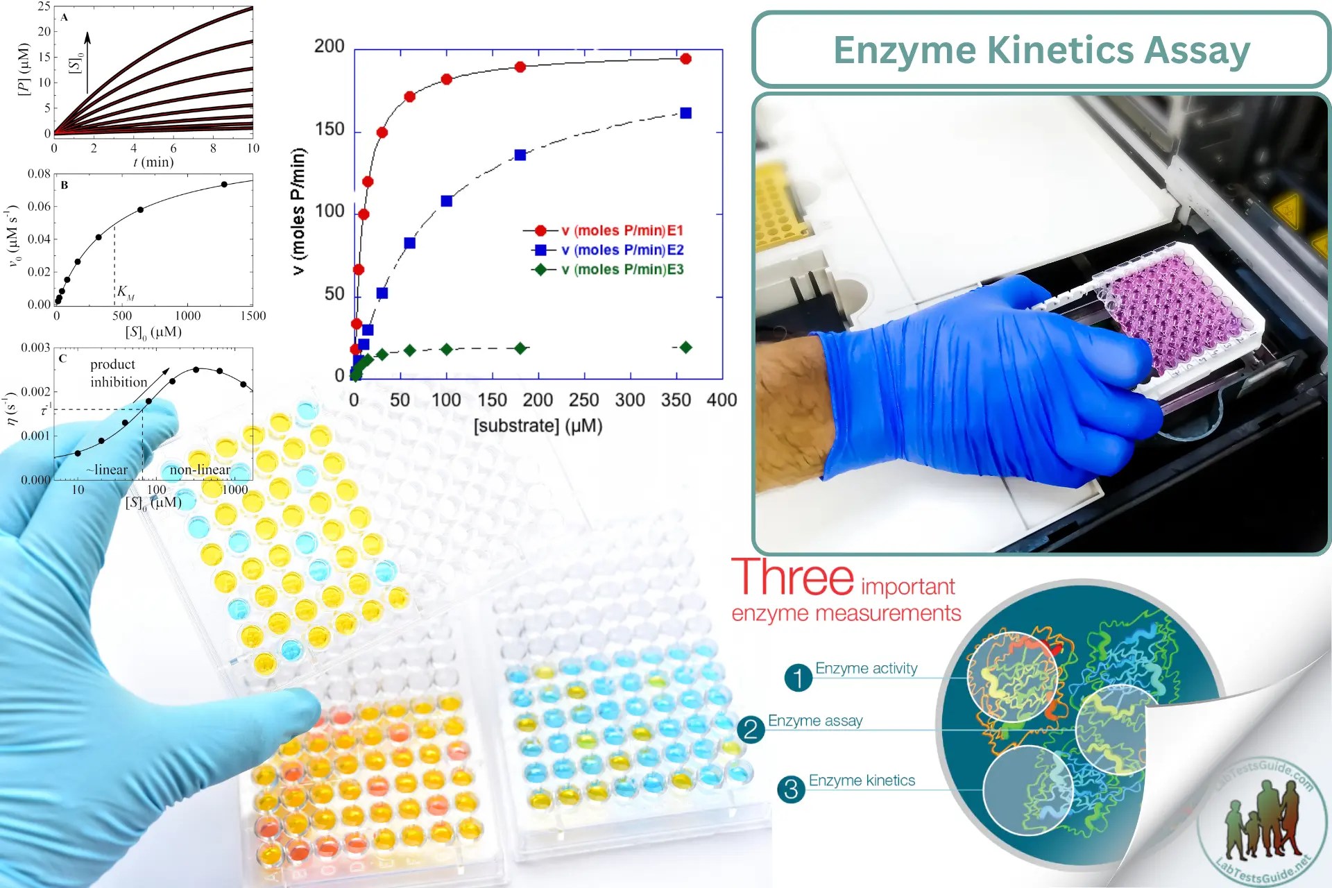 Enzyme Assay Lab Tests Guide