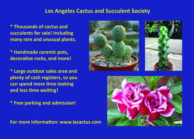 Cactus And Succulent Events Los Angeles November 2023 Festivals/Shows