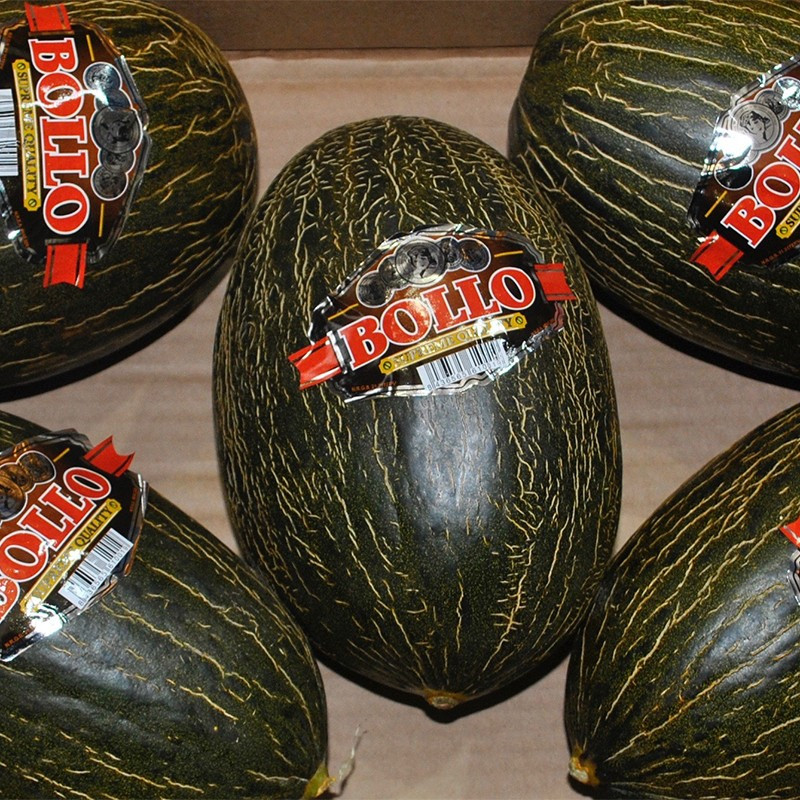 Melón bollo. Comprar online en La Caja de la Huerta